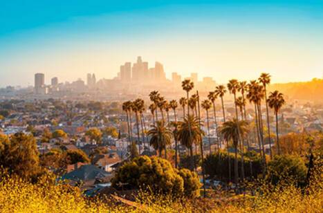 Los Angeles food guide | ROL Cruise Blog