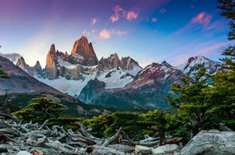 Cruise to Argentina