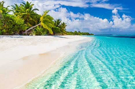 Last-minute cruises