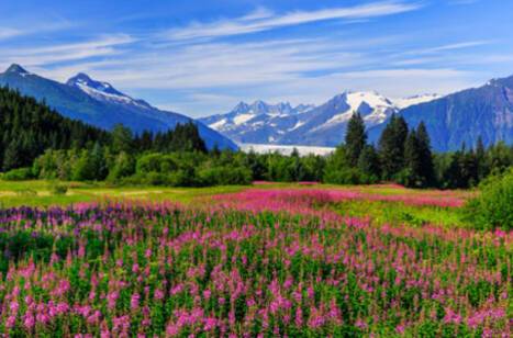 Here's when you should cruise to Alaska | ROL Cruise Blog