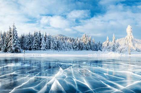 Christmas dinners around the world | ROL Cruise Blog