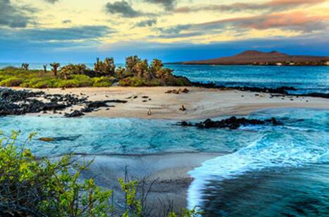Galapagos Islands Wildlife