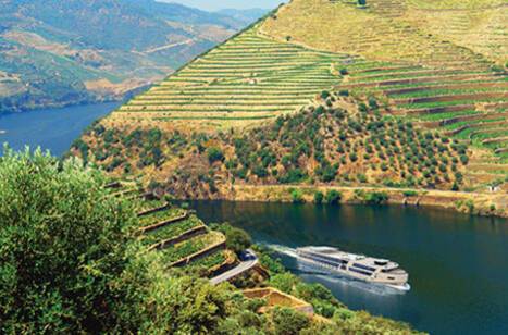 A written tour of MS Estrela | ROL Cruise Blog