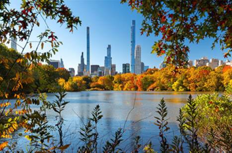 A view of New York’s skyline from Central Park