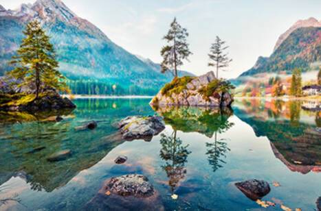 Wildlife Cruises