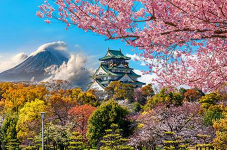 Cruise to the fastest-growing destinations | ROL Cruise Blog