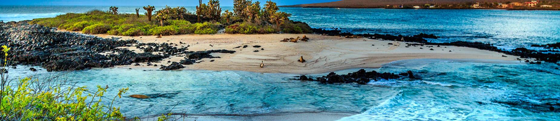 Galapagos Islands