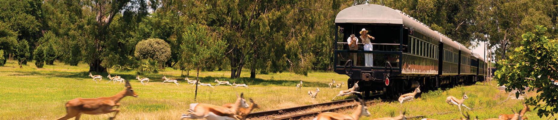 Rovos Rail