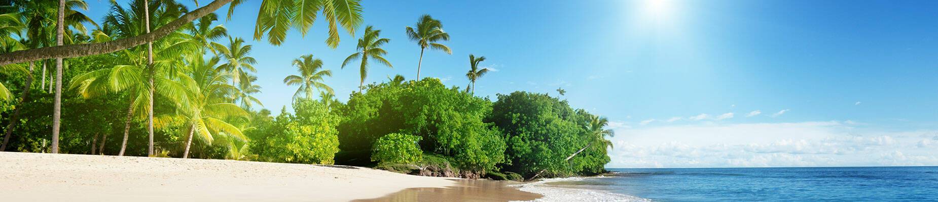 A Caribbean beach
