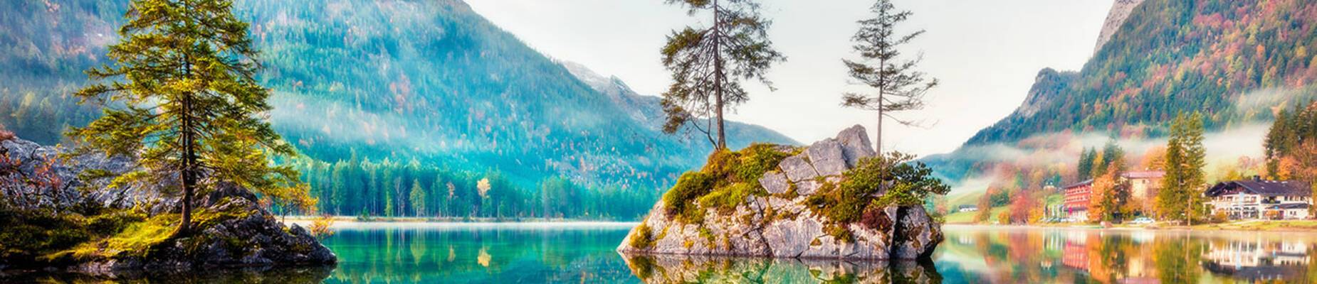 Wildlife Cruises