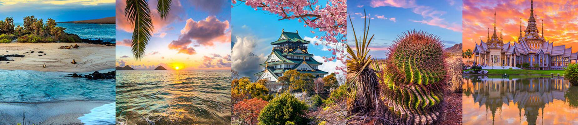 Cruise Destinations