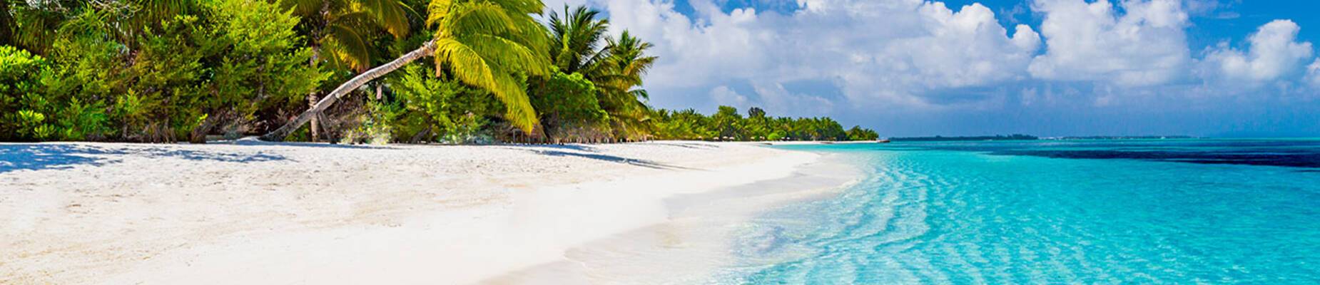 Royal Caribbean