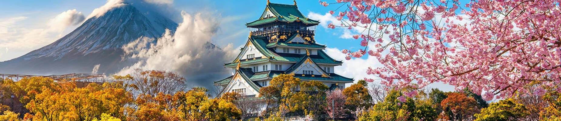 Osaka cruises