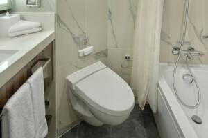 Single Ocean View Stateroom Bathroom, Rotterdam