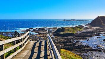 View Cruise30-Day New Zealand & South Australia Discovery CollectorDeal