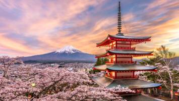 View Cruise2027 Japan in Springtime Cruise & StayDeal