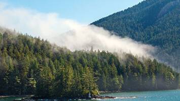 View Cruise7-Day Great Bear RainforestDeal