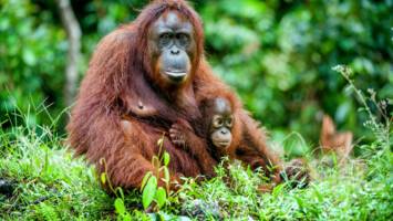 View Cruise2028 5★ All-Inclusive Far East AdventureDeal
