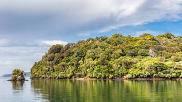 View CruiseSydney to AucklandDeal