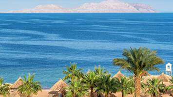 View Cruise18-Day from Athens to Dubai: Greece, Egypt & JordanDeal
