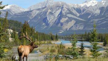 View Cruise2027 Canada & Alaska Ft. Great Frontier Expedition TourDeal