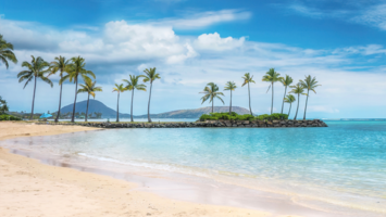 View CruiseExclusive 2028 Hawaii & Mexico DiscoveryDeal