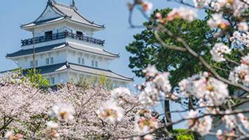 View CruiseTokyo To TokyoDeal