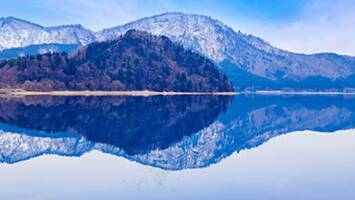View CruiseTokyo to TokyoDeal