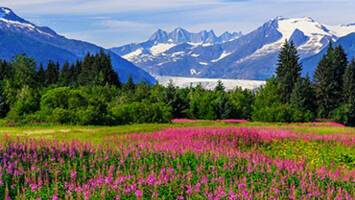 View Cruise7 Night Alaska Northbound GlacierDeal
