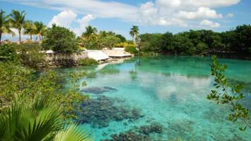 View Cruise7-Day Caribbean Round-Trip OrlandoDeal
