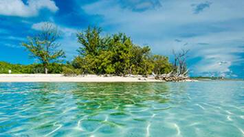 View Cruise7 Night Key West & Bahamas CruiseDeal