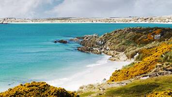 View CruiseUltimate Antarctica, Falklands & South GeorgiaDeal
