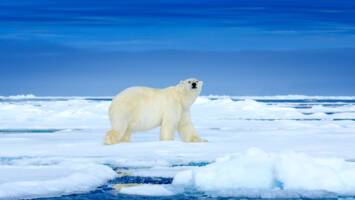 View CruiseAll-Inclusive 2027 Northwest Passage ExpeditionDeal