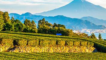 View Cruise27-Day North Pacific Crossing & Circle JapanDeal