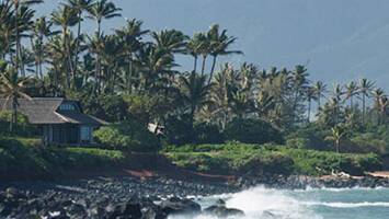 View Cruise16-Day Hawaii from Vancouver to Honolulu: Kauai, Juneau, Kona & MauiDeal