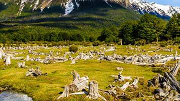 View Cruise14 Night Antarctica CruiseDeal
