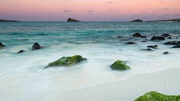 View Cruise7 Night Galapagos Inner Loop CruiseDeal