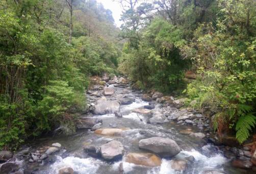 Darién National Park, Panama
