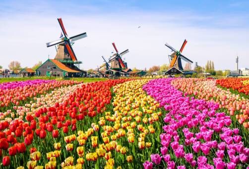 Zaanse Schans, Netherlands