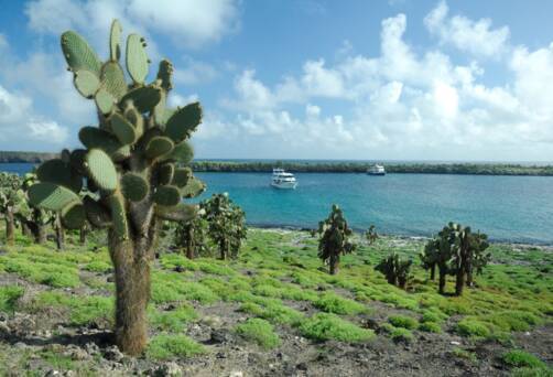 Santa Fe Island