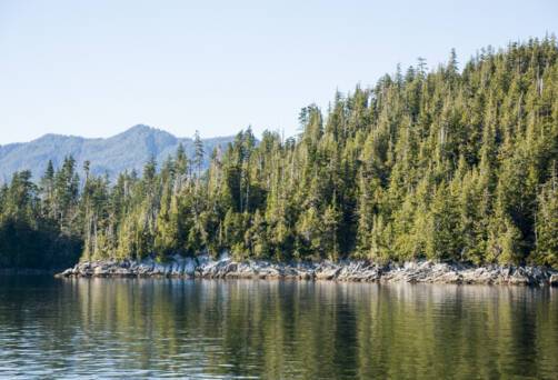 Misty Fiords