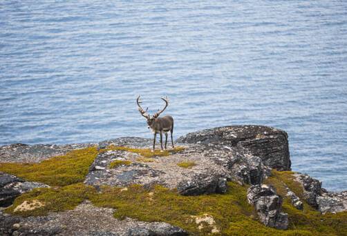 Havoysund, Norway