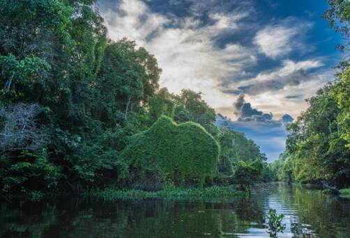 Sandakan River