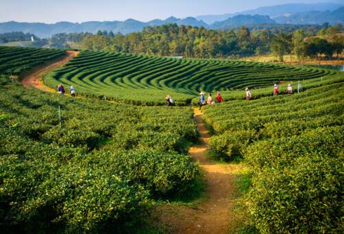 Darjeeling, India