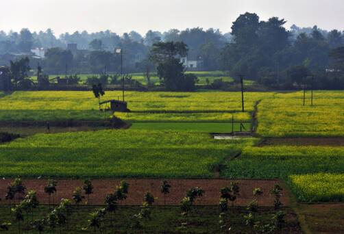 Matiari, India