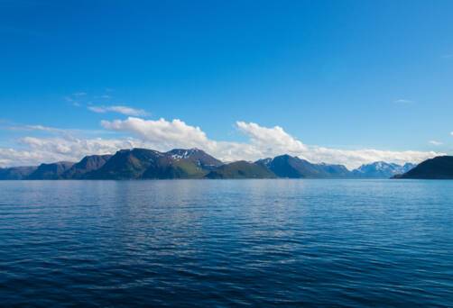Oksfjord