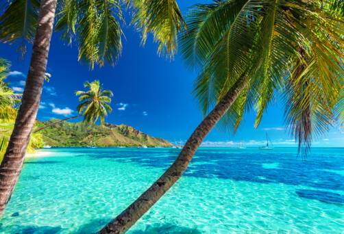 Cruises to the French Polynesia