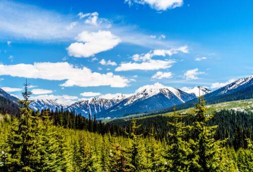 Coast Mountains
