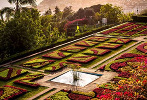 Funchal Cruises