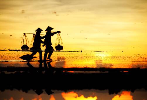 Cruises to Vietnam